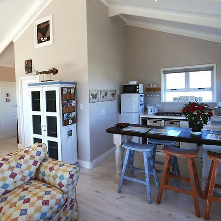 Reddoor Studio Pringle Bay Extérieur photo